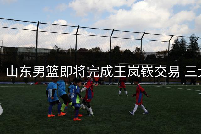 山东男篮即将完成王岚嵚交易 三大状元齐聚邱彪阵容升级