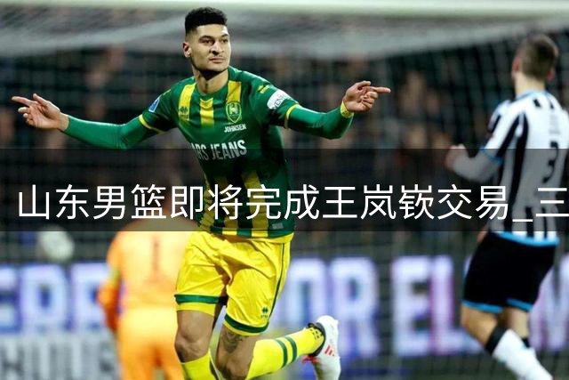 山东男篮即将完成王岚嵚交易 三大状元齐聚邱彪阵容升级