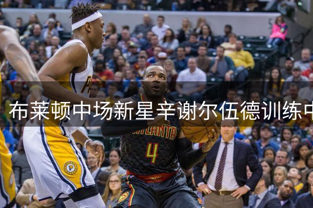 布莱顿中场新星辛谢尔伍德训练中受伤 将休战数周